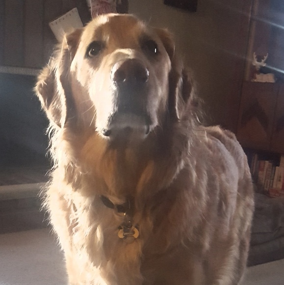 Meet your Posher, Aaron - Picture 1 of 1